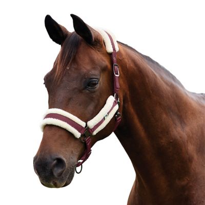 Product color Burgundy