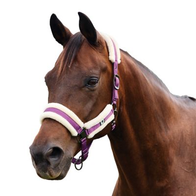 Product color Dark Purple