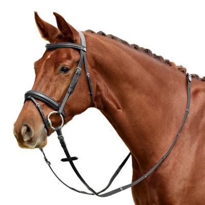 Dublin Padded Mono Crown Flash Bridle
