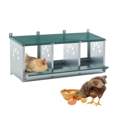 Modern Muse Metal Poultry Nest Box, Wall Mount, Vented Holes, Large, for Hens & Eggs