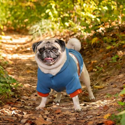 Jeep Dog Hoodie