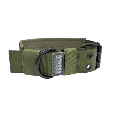 Jeep Willy's Edition Collar