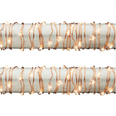 Everlasting GlowSet of 2 10 ft. Battery Operated Warm White Micro Light String on Copper Wire