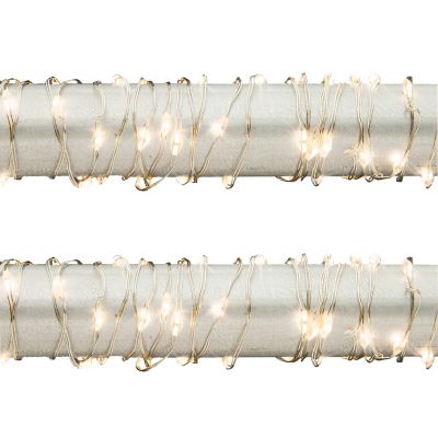Everlasting GlowSet of 2 Indoor/Outdoor Battery-WW LED Light Strings 20 ft. Fairy Lights with Timer