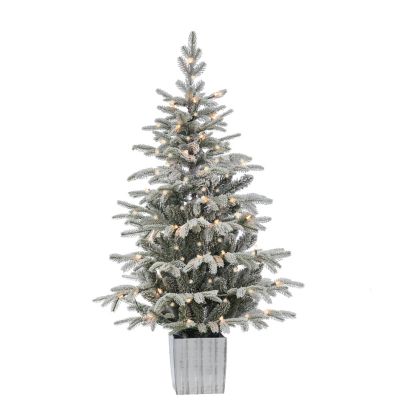 Sterling Elegant 4.5 ft., Potted Natural Cut Ligh