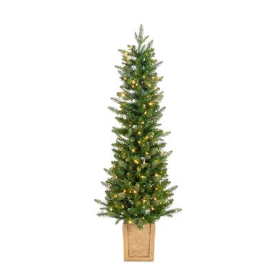 Sterling Natural Cut Saginaw Spruce Potted, 5 ft.
