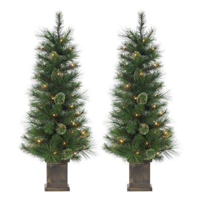 Sterling Set of 2 Elegant 4 ft. Potted Hard Needle Cashmere Trees