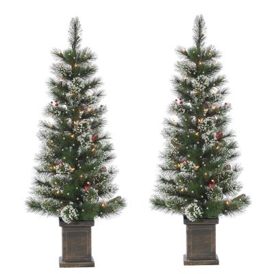 Sterling Set of 2 Elegant 4 ft. Potted Hard Mixed Needle Loveland Spruce Trees