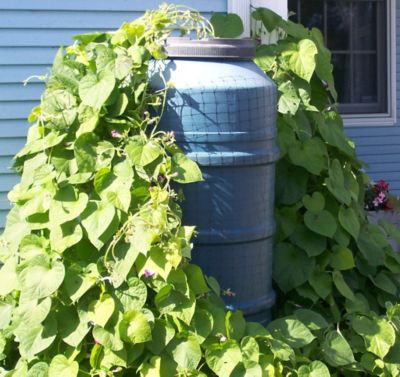 UpCycle Products Plant Barrel Netting
