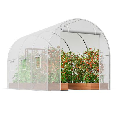 Modern Muse Walk-In Greenhouse 9.6 x 6.4 x 6.2ft., Galvanized Steel Fame, PE Cover, Roll-Up Door & 6 Windows.