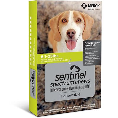 Sentinel Spectrum Flea and Worm Chews for Dogs, 8 to 25 lb.,1 Month at ...