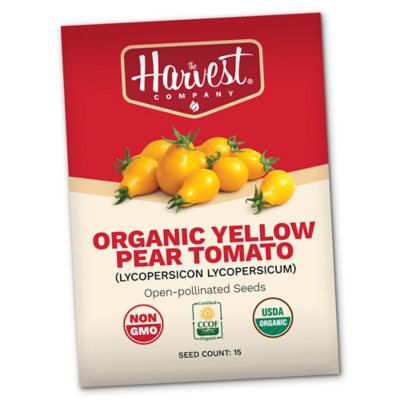 The Harvest Company Organic Yellow Pear Tomato Seeds, 25 ct. pk.