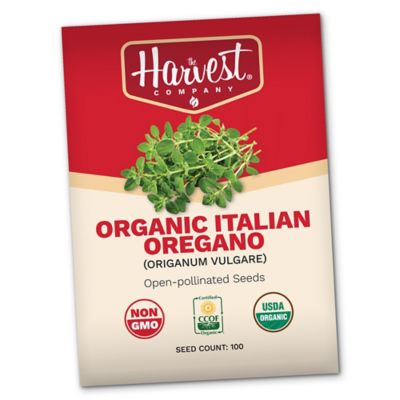 The Harvest Company Organic Italian Oregano Seeds, 100 ct. pk.