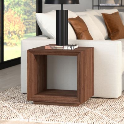 Hudson&Canal Tannen 22 in. Wide Rectangular Side Table