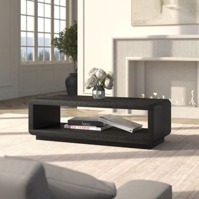 Hudson&Canal Lonni 47 in. Wide Rectangular Coffee Table