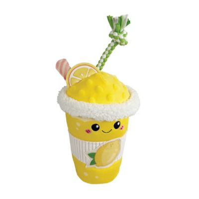 Best Furry Friends Frosted Lemonade Plush Dog Toy with Rope