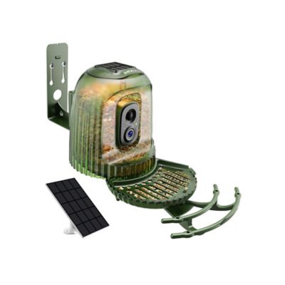 Coolfly 4MP Smart Bird Feeder with Camera, X004WI26WH