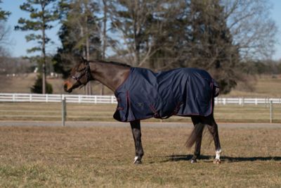 TuffRider 600 D Ripstop Standard Neck Light Weight Turnout Blanket with 100 GSM Fill