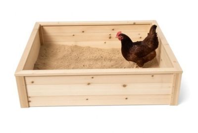 Zylina Play-N-Roost Dust Bath Box, Open Top