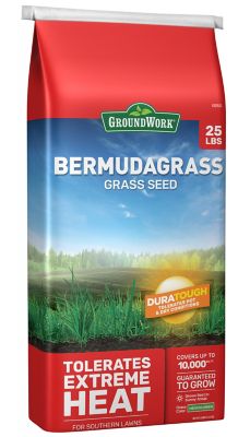 GroundWork 25 lb. Bermudagrass Grass Seed, South