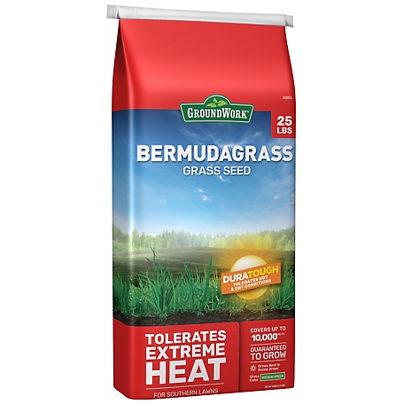 GroundWork 25 lb. Bermudagrass Grass Seed