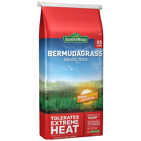 GroundWork 25 lb. Bermudagrass Grass Seed, South