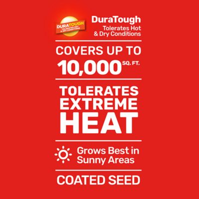 Image showing  25 lb. 10,000 sq. ft. Bermudagrass Grass Seed