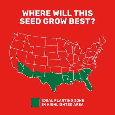 Image showing  25 lb. 10,000 sq. ft. Bermudagrass Grass Seed