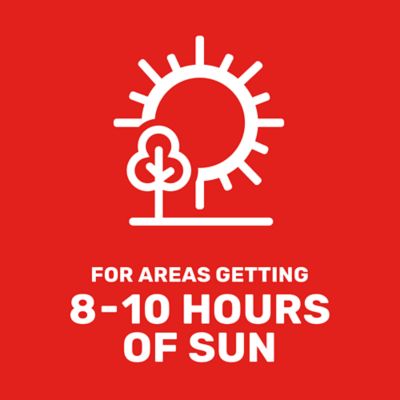 Image showing  25 lb. 10,000 sq. ft. Bermudagrass Grass Seed