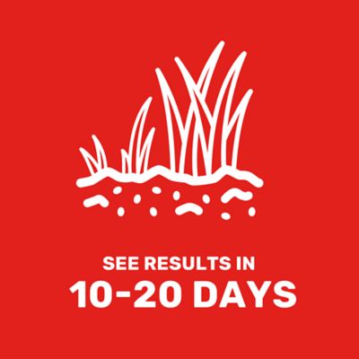 Image showing 5 th GroundWork 25 lb. 10,000 sq. ft. Bermudagrass Grass Seed