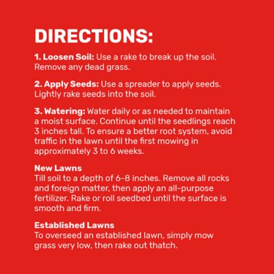 Image showing 6 th GroundWork 25 lb. 10,000 sq. ft. Bermudagrass Grass Seed