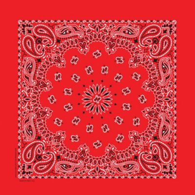 Carolina Creative Products Unisex Adult Paisley Cotton Bandana, Red