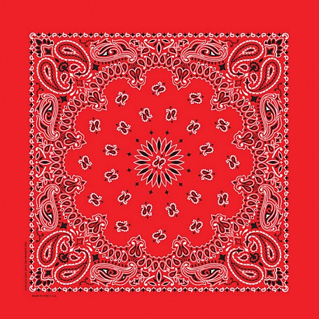 Carolina Creative Products Red Paisley Cotton Bandana