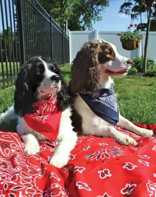 Image showing  Unisex Adult Paisley Cotton Bandana, Red