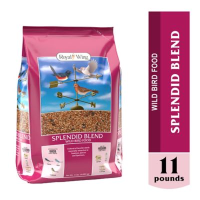 Royal Wing Splendid Blend Wild Bird Food, 11 lb.