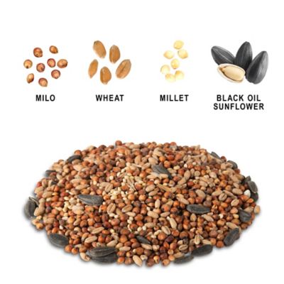 Image showing  Splendid Blend Wild Bird Food, 11 lb.