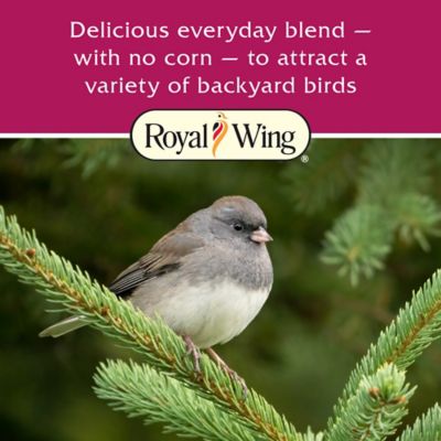 Image showing  Splendid Blend Wild Bird Food, 11 lb.