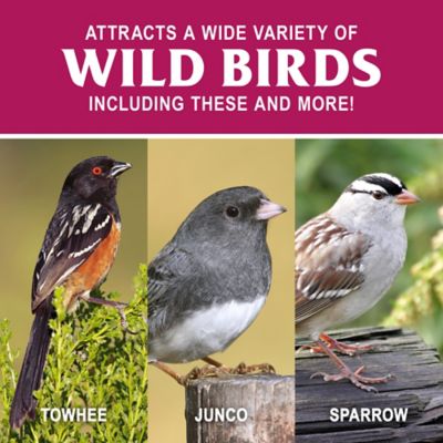 Image showing  Splendid Blend Wild Bird Food, 11 lb.