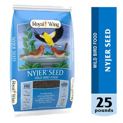 Royal Wing Nyjer Seed Wild Bird Feed, 25 lb.