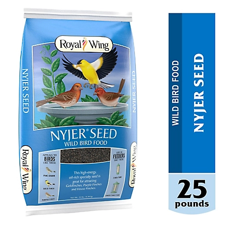 Royal Wing Nyjer Seed Wild Bird Feed, 25 lb.