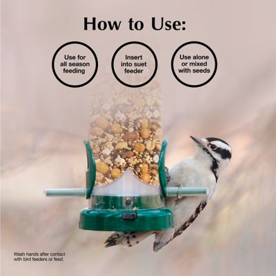 Image showing  Bluebird Suet Bird Food Nuggets, 27 oz.