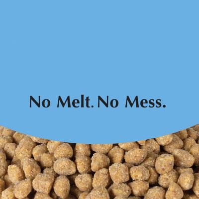Image showing  Bluebird Suet Bird Food Nuggets, 27 oz.