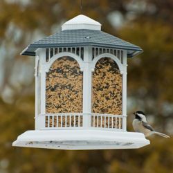 Bird Feeders and Shepherd Hooks