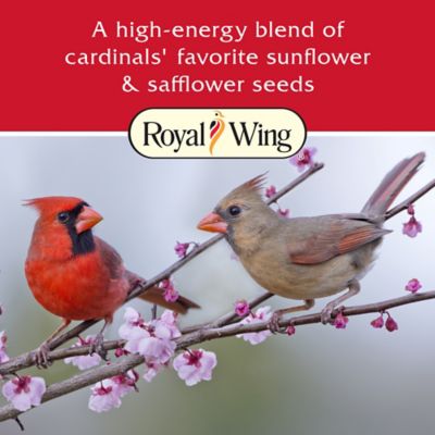 Image showing  Cardinal Wild Bird Food Mix