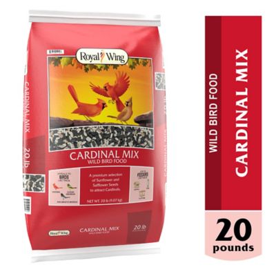 Tractor supply hot sale bird seed