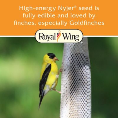 Image showing  25 oz. Prefilled Tall Finch Sock Bird Feeder