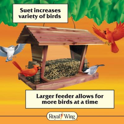 BOSTON RED SOX CEDAR SPORT BIRD FEEDER 