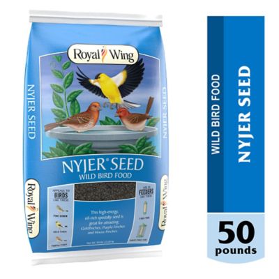 Royal Wing Nyjer Seed Wild Bird Food, 50 lb.