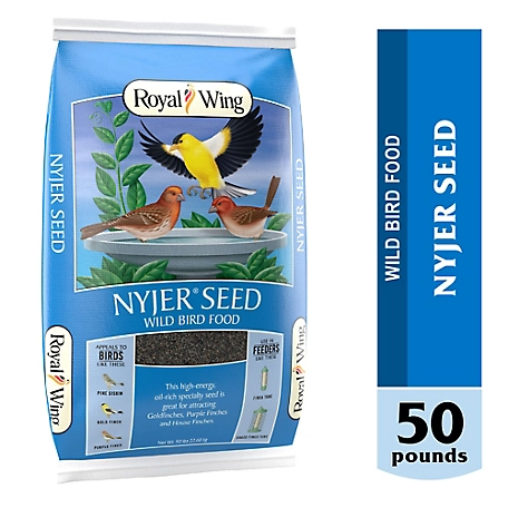 Royal Wing Nyjer Seed Wild Bird Food, 50 lb.
