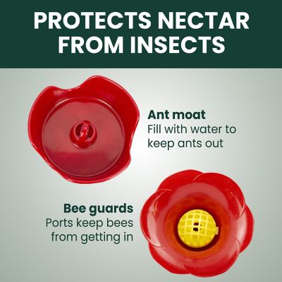 Image showing  8 oz. Pinch-Waist Glass Hummingbird Nectar Feeder